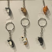 Image 2 of Cat Snatch Charm