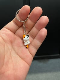 Image 1 of Cat Snatch Charm