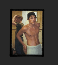 Image 1 of Sodapop and Ponyboy in The Outsiders Photo Patch.