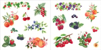 Image 3 of Bunches of Botanicals Sticker Book (500 Stickers)