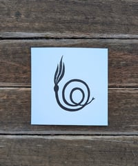 Image 2 of Snail Kelp Print