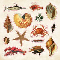 Image 9 of The Sticker Book of Curiosities