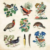 Image 5 of Zoological Ephemera Sticker Book