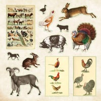 Image 7 of Zoological Ephemera Sticker Book