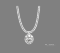 925 Silver Lion Head in Solid Back with Silver Rope Chain