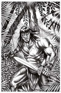 Image 1 of CONAN THE BARBARIAN #20 - Original Art! 