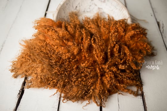 Image of Rusty Pumpkin hand felted fur