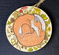 Woodland Fox in Slumber