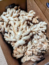 Image 1 of Freeze Dried Ginger Powder 