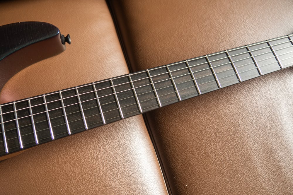 Modern "Neoteric" Purple Chameleon