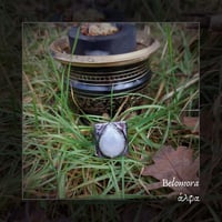 Image 1 of ☽ Belomora ☾