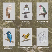 Image 2 of Mini Bird Prints - Custom Bundle