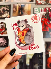 Live Fun Not Long - Possum Vinyl Sticker