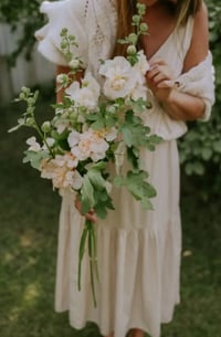 Image 3 of Graines de rose trémière 