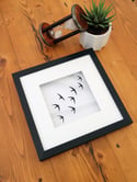 Swift Papercut Framed Artwork