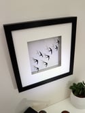 Swift Papercut Framed Artwork