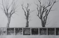 Image 2 of Garages and Trees, Carmichael Place - Pencil on Paper 