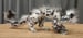 Image of Scowler Squiggle Dragons