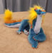 Image of Scowler Squiggle Dragons