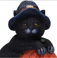 Image 3 of TRICK OR TREAT 13CM