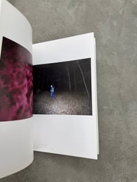 Image 3 of In the Shadow of Things - Leonie Hampton
