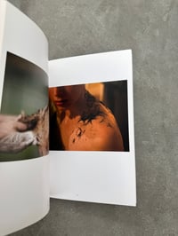 Image 11 of In the Shadow of Things - Leonie Hampton