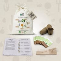 Image 1 of Les plantes a tisanes