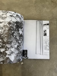 Image 6 of Cover to Cover - Michael Snow