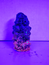 Image 7 of Sludge Ghoul