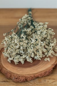 Image 2 of Preserved Crystal Grass Flower