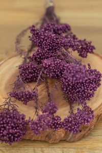 Image 2 of Preserved Rive Flower - Pinkish Purple