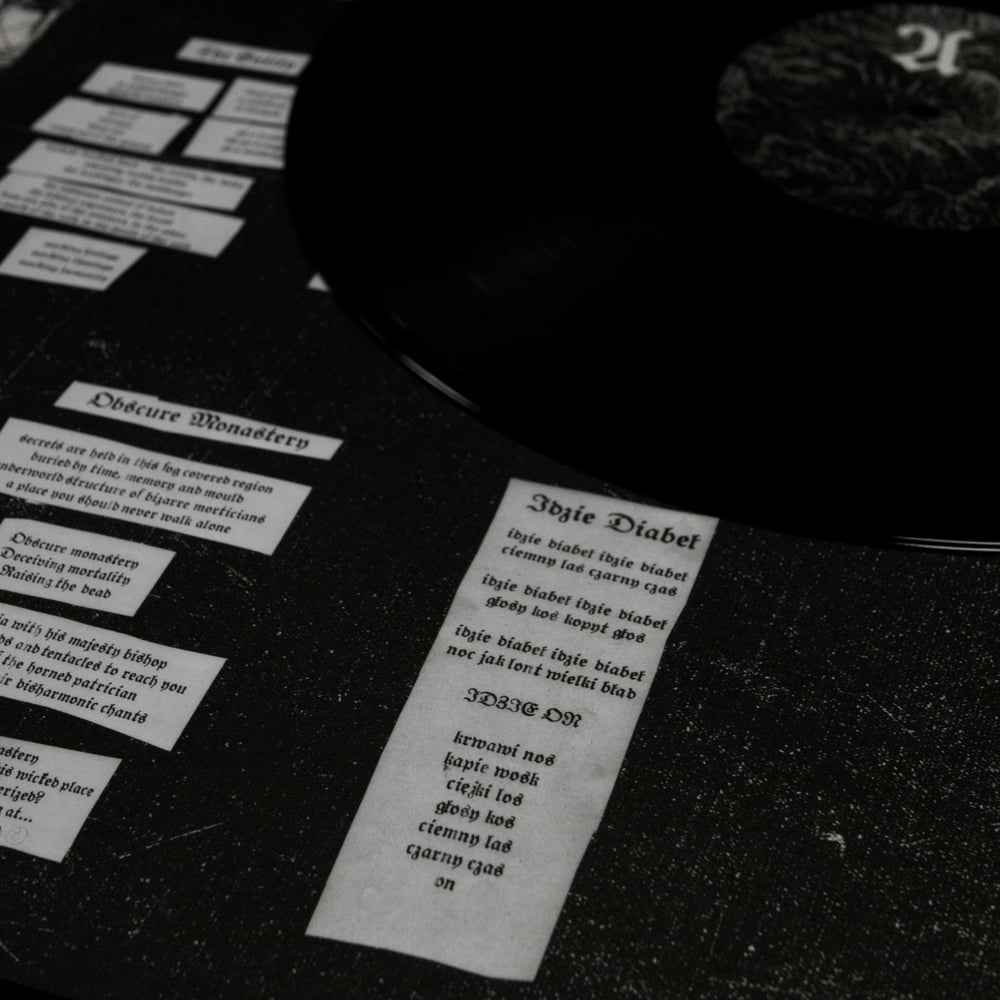 Owls Woods Graves "Secret spies of the horned patrician" black LP
