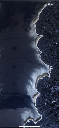 Image 3 of Moonlit Shore