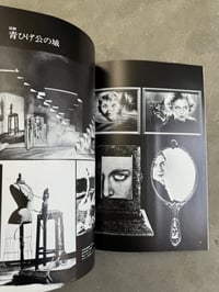 Image 20 of Sawako Goda's Works - Sawako Goda [SIGNED]