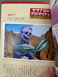 Image 7 of Japanese Bootleg Monster Toy Reference (Pachi) - Tatsumi Mook 