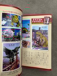 Image 9 of Japanese Bootleg Monster Toy Reference (Pachi) - Tatsumi Mook 