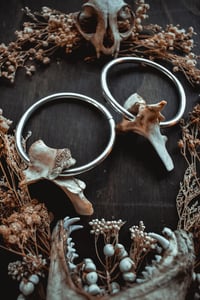 Image 4 of Bone hoops 2