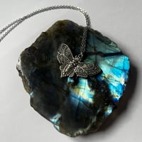 Image 2 of Gold/Silver Moth Necklace