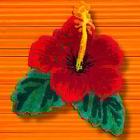 Image 4 of HIBISCUS - Sunrise 