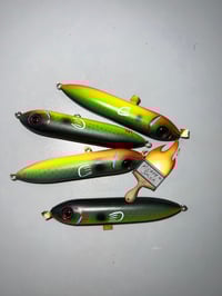 Image 2 of Frog Walker #4