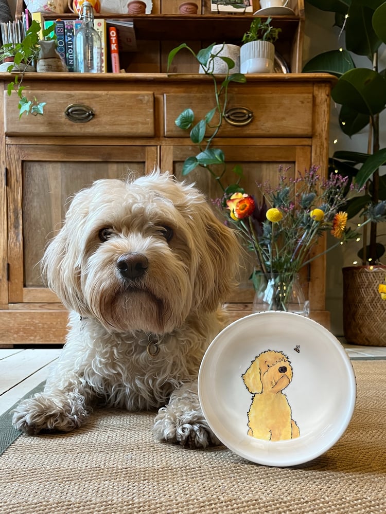 Image of hand painted pet bowls