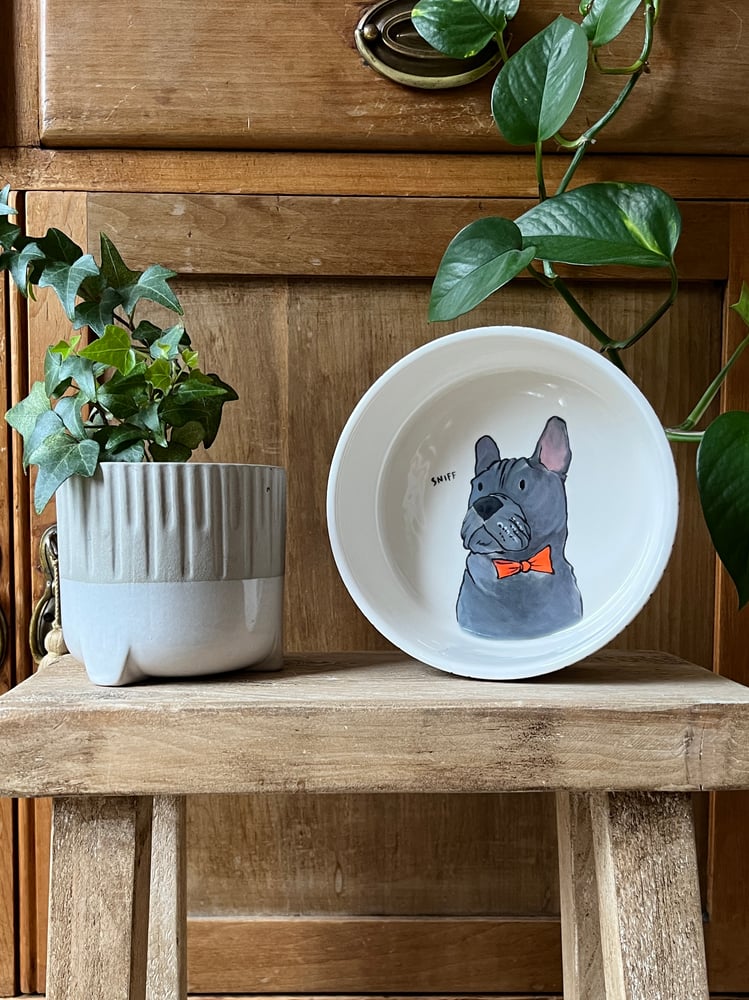 Image of hand painted pet bowls