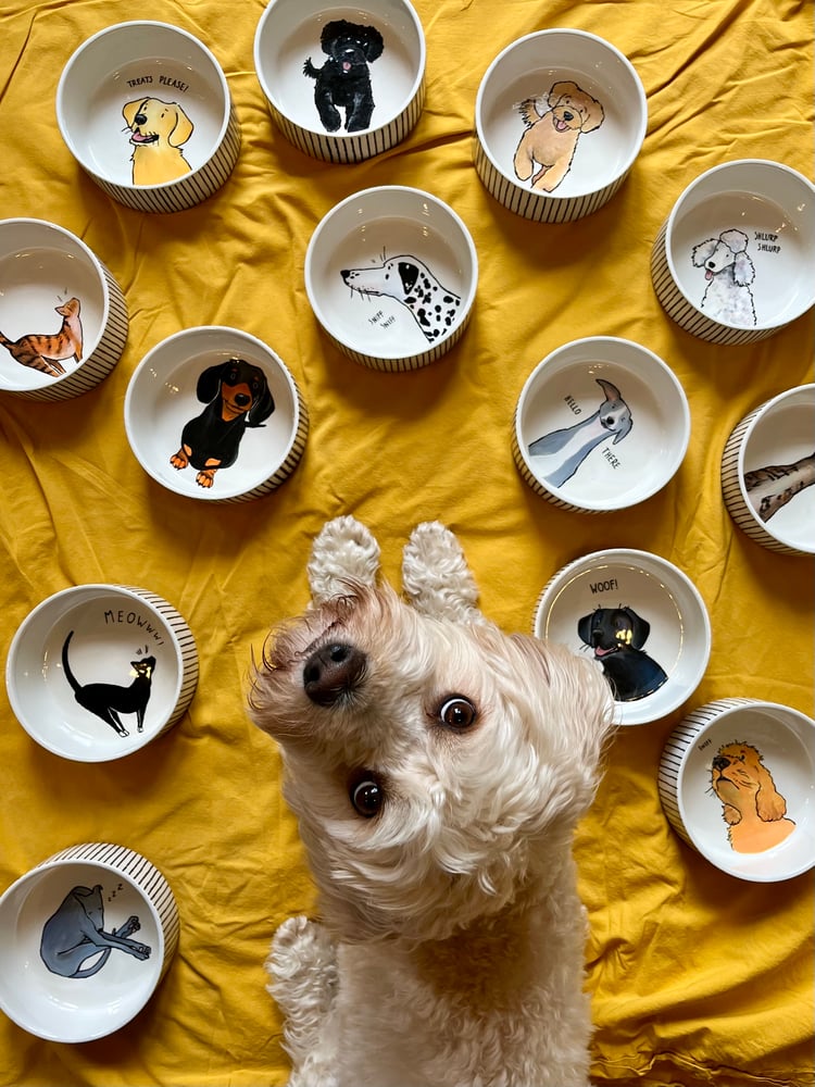 Image of hand painted pet bowls