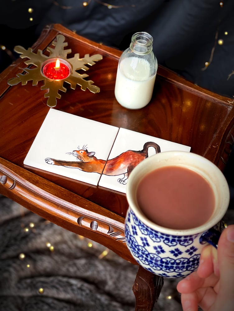 Image of hand painted ceramic coasters / tiles