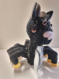 Image 4 of Spider Goat Spoat