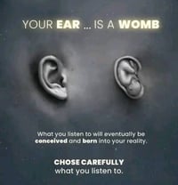 Image 2 of Ear Accupuncture (Auriculo Therapy)