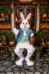 Image 2 of Easter Mini Session with Optional Easter Bunny (DEPOSIT)