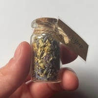 Image 1 of Mini Spell Jars (multiple option)