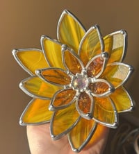 Image 2 of Sunflower succulent 