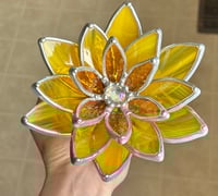 Image 1 of Sunflower succulent 